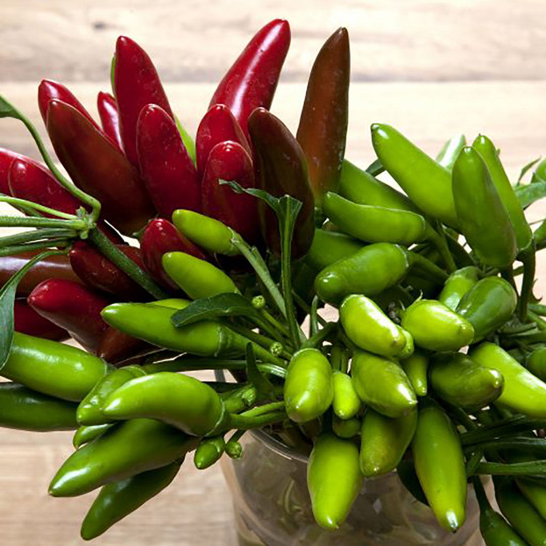 Foodworx Stock your Freezer Box chillies for the plant based curry box for delivery