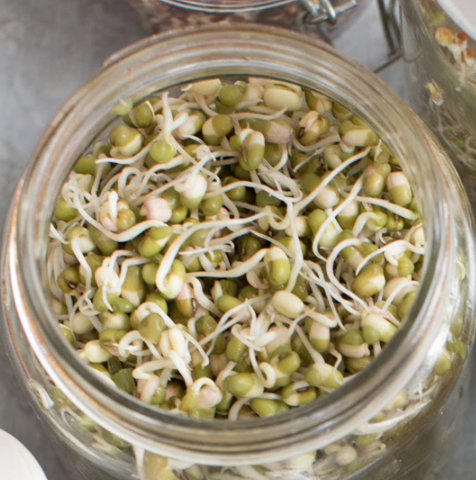 An Introduction to Plant-based Cooking, Sat, May 9 An Introduction to Plant-based Cooking, Sat, May 9 - Image 3